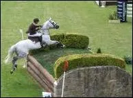 Quel est cet obstacle ?