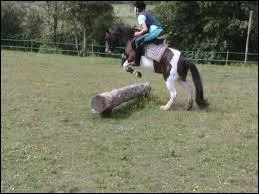 Quel est cet obstacle ?