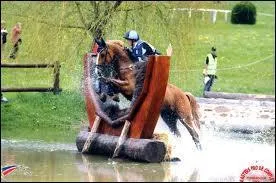 Les obstacles de cross sont des obstacles...