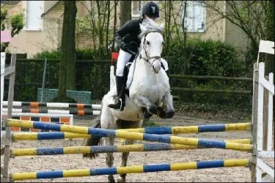 Quel est cet obstacle ?