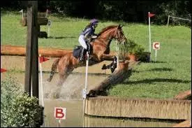 Quel est cet obstacle ?