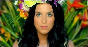 De quel clip vient cette image ?