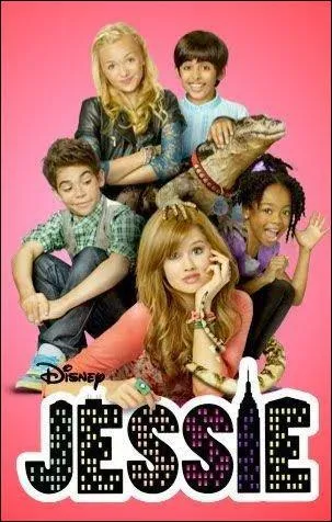 Qui a ralis la srie ?