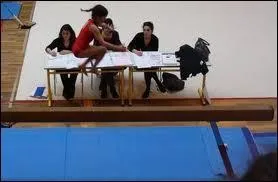 A quel ge a-t-elle commenc  pratiquer la gymnastique ?