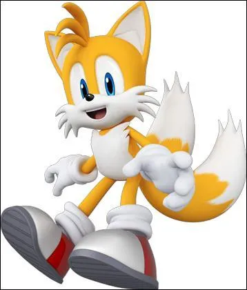 Quelle est la formation Fly dans la Team Sonic ?