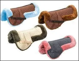 En quel matire ne peut pas tre un amortisseur ?