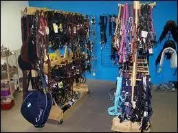 Que ne trouve-t-on pas dans un magasin d'quitation ?