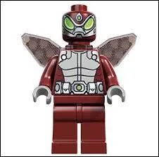 Comment s'appelle ce vilain ?