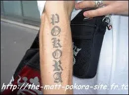 Que signifie  Pokora  en polonais ?