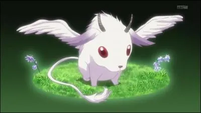 Je suis la vritable forme de Nai. Comment s'appelle mon espce ?