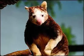 Quel est son autre nom ?