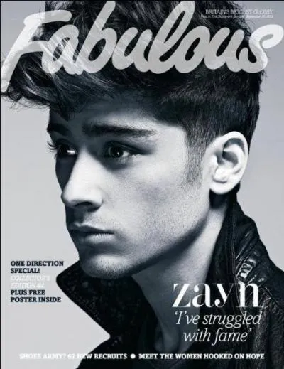 Comment s'appellent les surs de Zayn ?