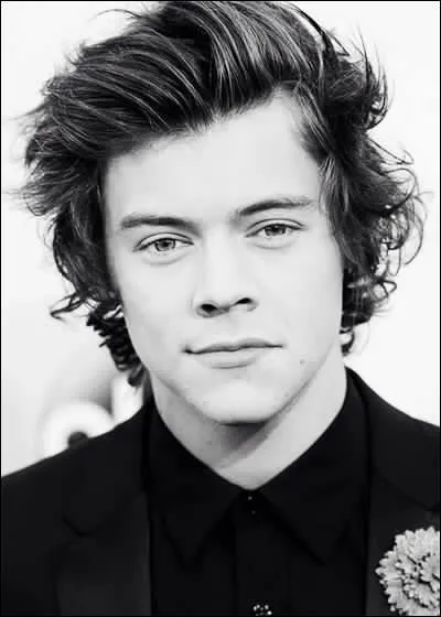 Quel est le nom complet de Harry ?