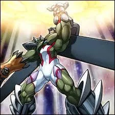 Comment s'appelle cette forme de Nos ?