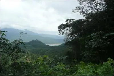 Je me suis cass(e) la cheville en me rendant au district 13 en passant par la fort du 12. Je suis... ?