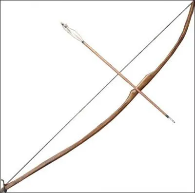 Je suis trs ttu(e) comme mon  cousin'' et j'aime chasser car je suis trs dou(e) au tir  l'arc. Je suis... ?