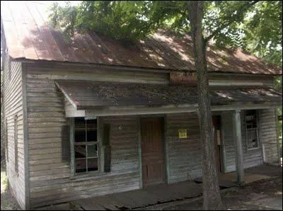 J'ai des tresses et j'aime bien Katniss. Je suis... ?