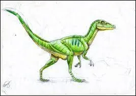 Le compsognathus est dans les ...