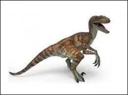 Le vlociraptor est