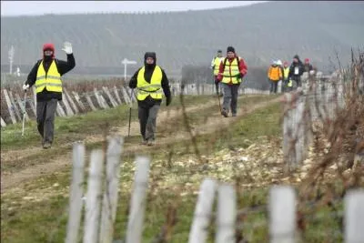 Combien de marcheurs ont particip aux randonnes Bourges-Sancerre, Morogues-Sancerre et la Petite Sancerroise cette anne ?
