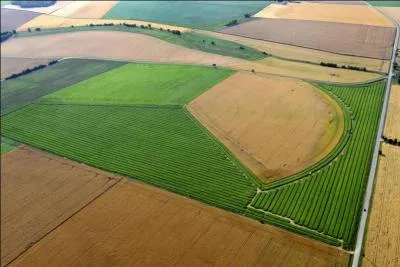 Qui est lu prsident de la chambre d'agriculture du Cher en 2013 ?