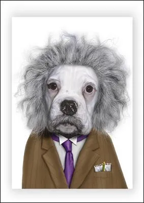 Dans les romans  Frankenstein , Frankenstein est le nom de la bte cre par le scientifique :