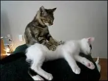 Rien de tel quand on a mal au dos ! Aucun tre vivant ne peut rajeunir :