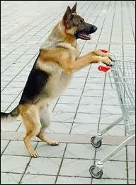 Un produit portant le label  produit de l'anne  a rellement t lu produit de l'anne :