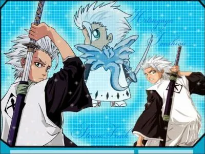 Comment est surnomm Histugaya ?