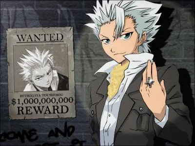 De quoi est accus Hitsugaya dans le second film de bleach ?