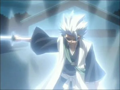 Quel capitaine combat-il en l'accusant de la mort d'Aizen ?