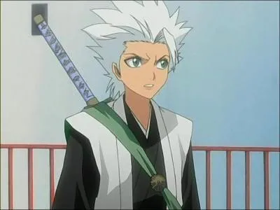 Quand il tait petit, Hitsugaya voulait-il entrer dans l'acadmie de Hinamori ?