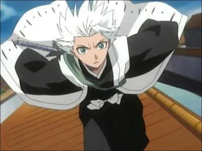 Qui dit a Hitsugaya de surveiller Hinamori ?