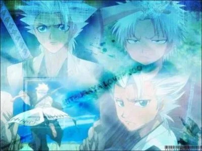 De quel lment se sert-il ?