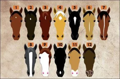 Connait-tu aussi les marques en tte ? Le numro 8 ?