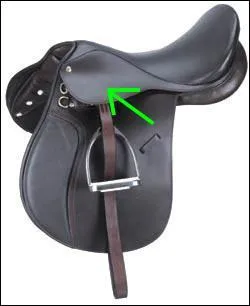 Quelle partie de la selle est montre sur la photo ?