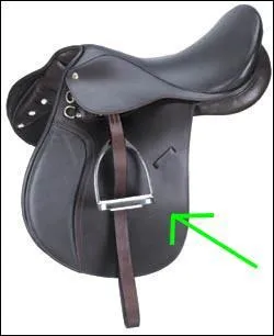 Quelle partie de la selle est montre sur la photo ?