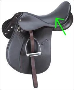 Quelle partie de la selle est montre sur la photo ?