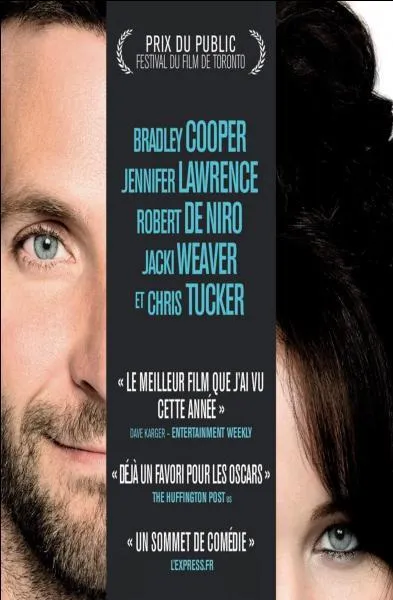 La comdie romantique amricaine de l'anne ralise par David O. Russell. C'est :