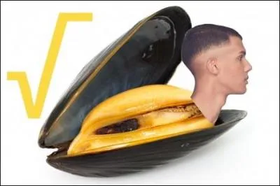 Dans la chanson  Moules frites , qui est celui qui aime les moules frites, sans frites et sans mayo ?