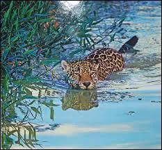 Dans quel dpartement franais peut-on prendre ce genre de photo ?