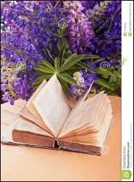 Comment tait le jeudi dans un roman de Steinbeck ?