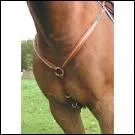 a c'est cadeau ! son nom ?