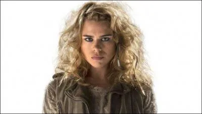  quel Docteur apparat-elle sous la forme du Bad Wolf dans l'pisode anniversaire  Day of the Doctor  (Le jour du Docteur) ?