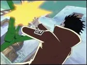 Quel est son fruit du dmon et  quoi sert-il ?