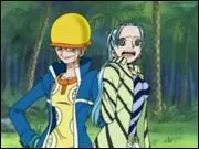 Quel est son fruit du dmon et  quoi sert-il ?