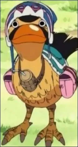 Comment s'appelle son canard ?