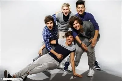 Qui a donn l'ide d'appeler le groupe  One Direction  ?