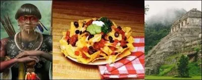 Les tupinambs (ou tupis) sont