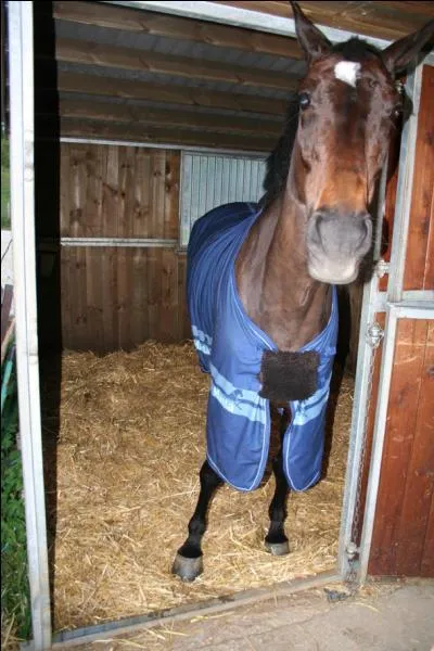 Qu'est-ce qu'une litire en bateau ?